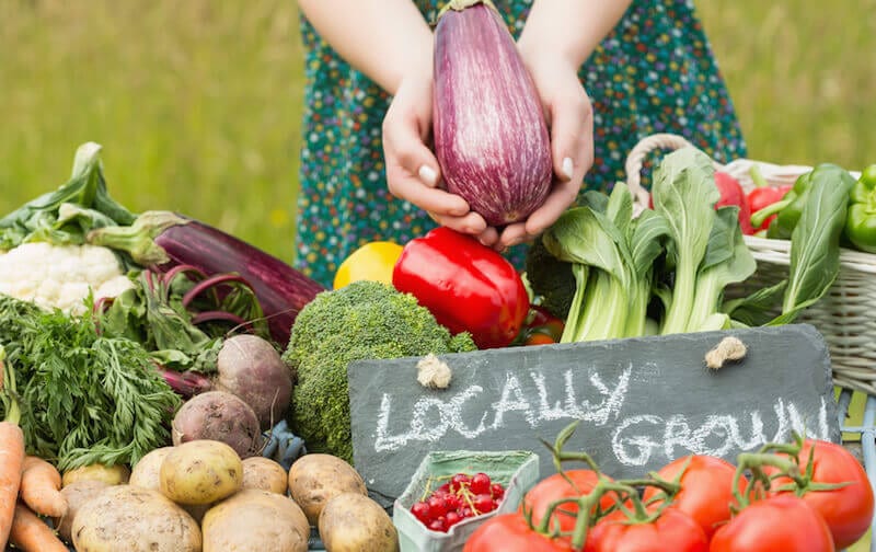 Sustainable Food Sources 6 Characteristics That Prove The Truth