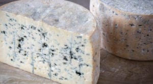Blue Cheshire Cheese