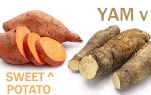 sweet potato and yam